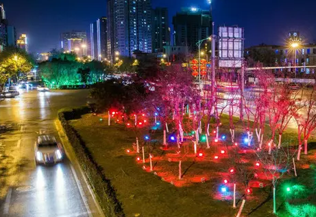 南充市政亮化好色先生TV版製作施工安裝